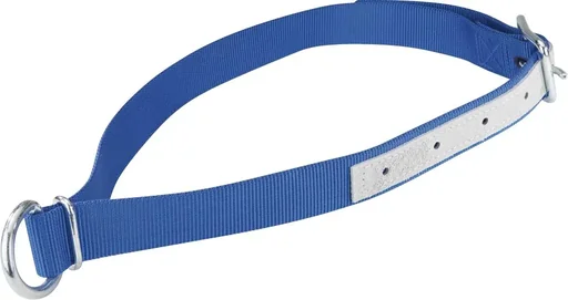 "Halsriemen zum Anbinden für Kühe, Rinder, Jungtiere, aus Trevira image"