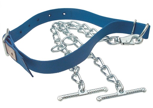 "Halsbänder für Kühe - blau image"