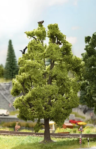 "Baum mit Vogelzwitschern image"
