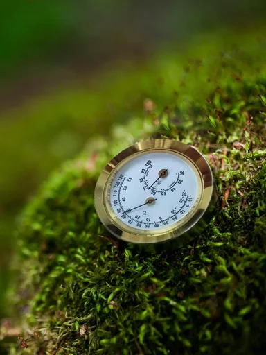 "Hygrometer image"