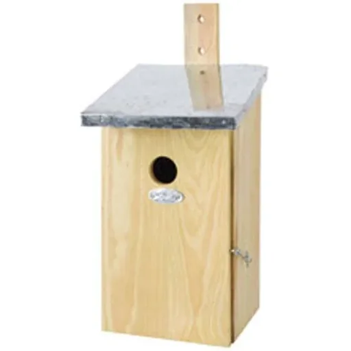 "Beobachtungsnistkasten image"