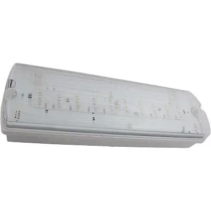 "VT-524-S Notfallbeleuchtung - LED - Anbau - 4W - IP65 image"