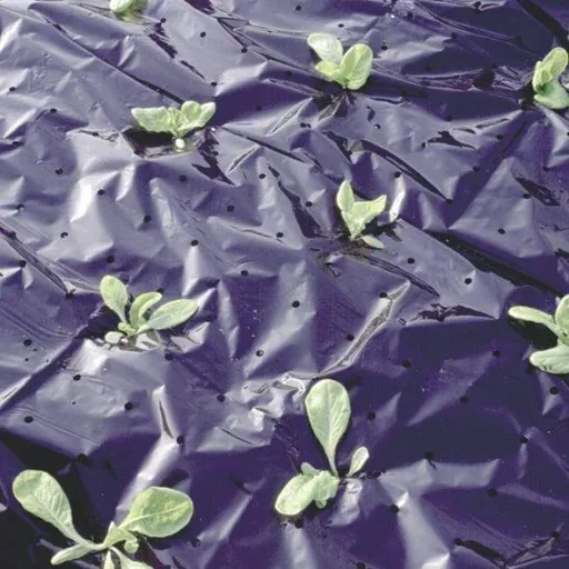 "Mulchfolie, 1,5 x 10 m image"