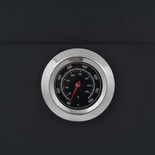 "Outdoor-Pizzaofen auf Holzkohle mit 2 Schamottesteinen image"