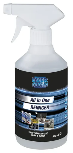 "All in One Reiniger für innen und außen image"