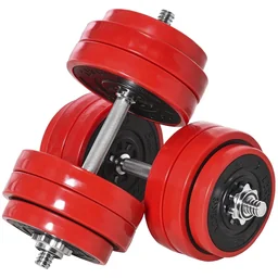 Hantelset 20/30KGS 2-IN-1 Hanteln&Langhanteln verstellbar Gewichtheben für Zuhau