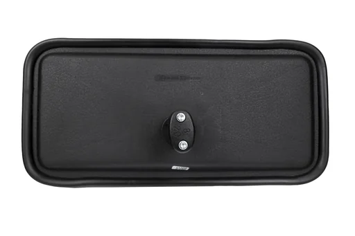 "Spiegelkopf, 378 x 187 mm image"