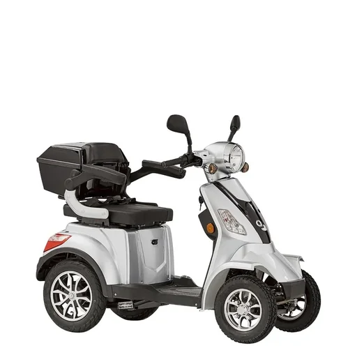 "4-Rad E-Mobil Palermo 25 km/h silber image"