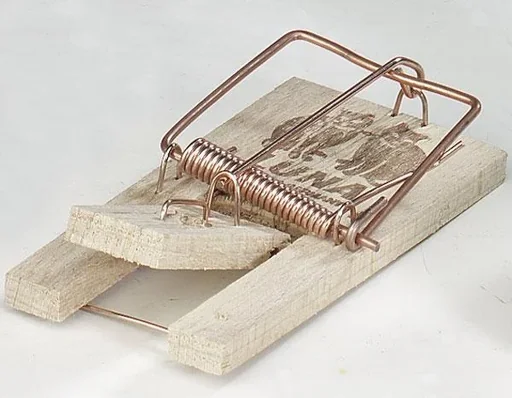 "Holz Mausefalle zum Fangen von Mäusen, 1 Stück image"