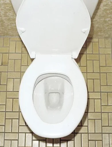 "WC Reinigungstabletten"Swiss Tabs", gründliche Reinheit, 20 Stück image"