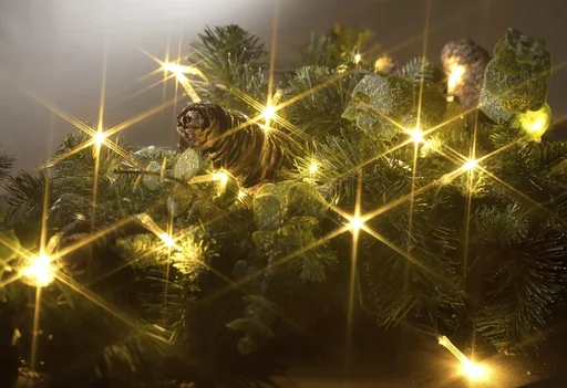 "LED Lichterkette mit 20 warmweißen LEDs, batteriebetrieben image"