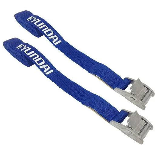 "Zurrgurte 2x25mmx2,5m. 200 daN. image"