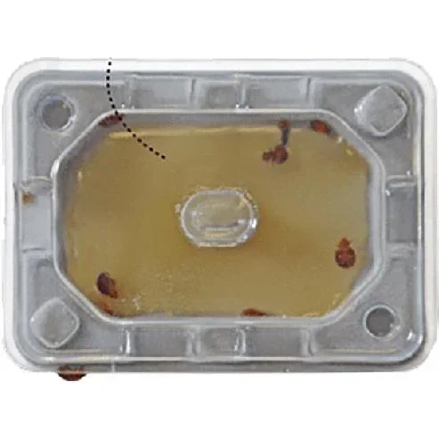 "Catchmaster Slider Bettwanzenmonitor image"
