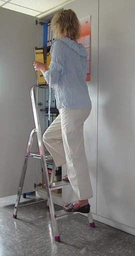 "Stufen Stehleiter Alu, 3 Stufen Leiter image"