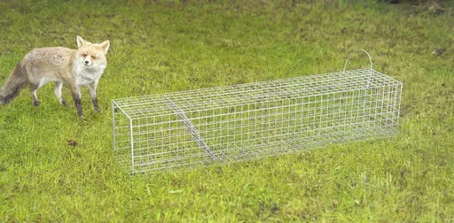 "Jungfuchs Röhrenfalle, 20 x 20 x 100 cm image"