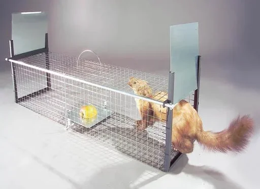 "Lebendfalle f. Marder, Iltis, Katze, Kaninchen, 26x26x105 cm, 4,2 kg image"