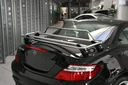 Gepäckträger Edelstahl Summer für Mercedes Benz SLK 3 Bauj. ab 2011