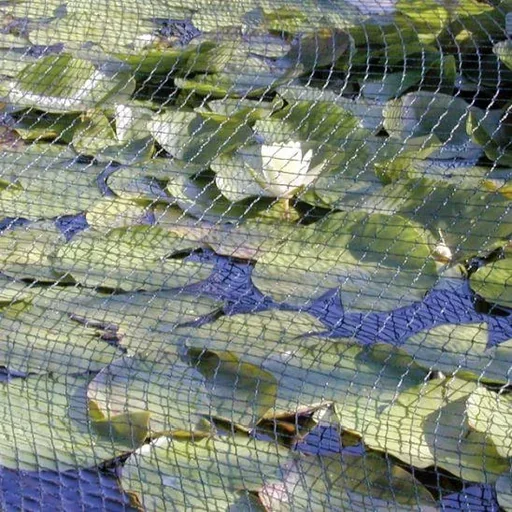 "Laubschutznetz - 5 x 6 m image"