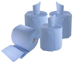 Blaue Putzrollen, 2 Stück