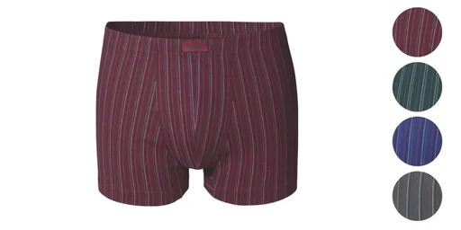 "Retroshorts im 4er Pack, farblich sortiert, Gr.7 image"