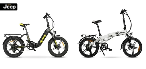 "Unisex Fold E-Bike , 20 Zoll, 6-Gang Kettenschaltung, white, Falt-E-Bike FR 7011 image"