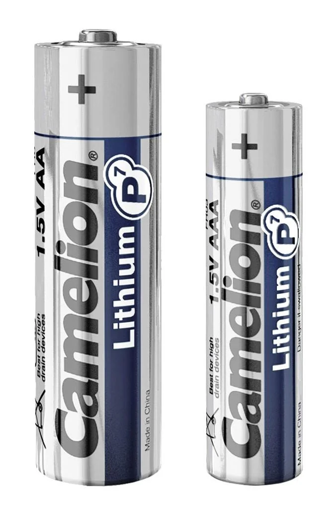 Lithium Micro (AAA) Batterie - 2 Stück