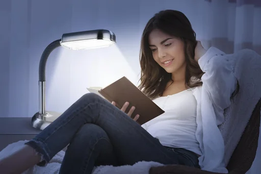 "LED Tageslicht Tischleuchte Edelstahl image"