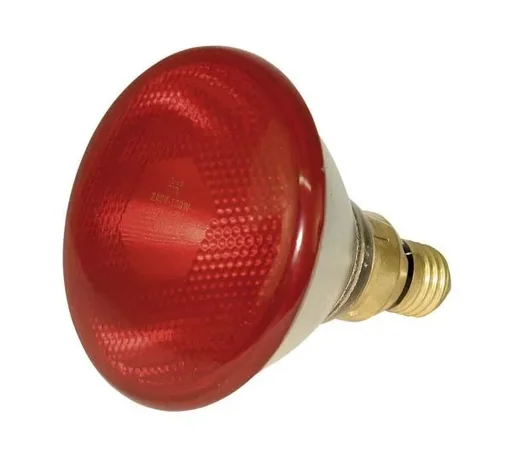 "Infrarot Sparlampe PAR 38, 100 Watt, rot image"