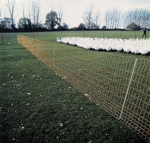 "Wolf JUMBO 106 cm mit Doppelspitze, 50 m image"