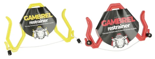 "Immobilisierungsbogen 19,5 x 11 cm image"