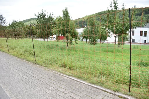 "Euro-Netz Mustang 145/2 50m mit engen Maschen image"