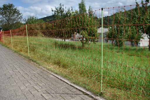 "Euro-Netz Geflügel 112/2 50m image"