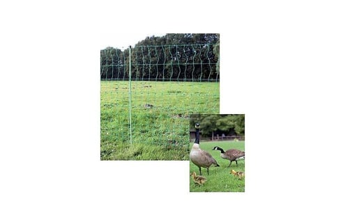 "Euro-Netz Geflügel 112/2 grün 50m - stromlos image"