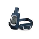 PetSafe 100 Meter Ferntrainer