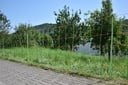 Euro-Netz Rapid Kombi 106/2, 50 m, mit Kupferleiter