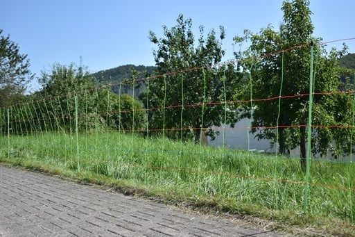 "Euro-Netz Rapid Kombi 106/2, 50 m, mit Kupferleiter image"