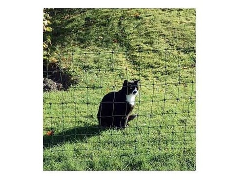 "Euro-Netz für Katzen 75/1 25m image"