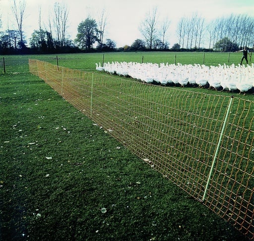 "Euro-Netz Geflügel 112/2 25m image"