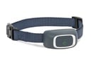 PetSafe Wiederaufladbare Bellkontrolle Lite