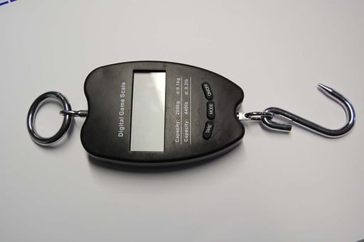 "Fritz Göbel Digitale Hängewaage 200 kg, Einteilung 100 g image"