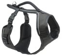 PetSafe EasySport Geschirr groß, schwarz, Größe L