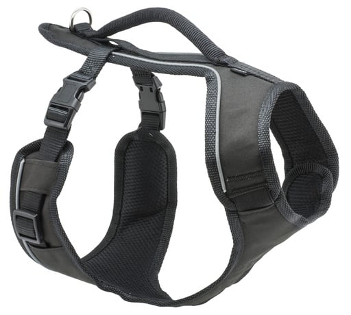 "PetSafe EasySport Geschirr groß, schwarz, Größe L image"