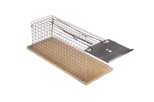 "Keim Drahtkasten-Rattenfalle image"