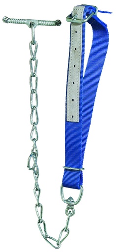 "Kälberhalsband blau mit Kette image"