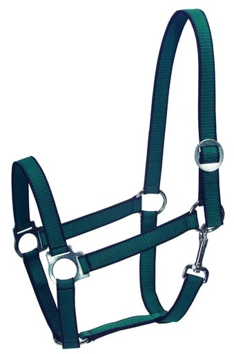 "Nylon-Halfter gepolstert für Pony Gr. 1 blau image"