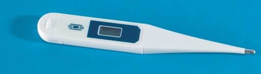 "Fritz Göbel Digital-Fieberthermometer image"