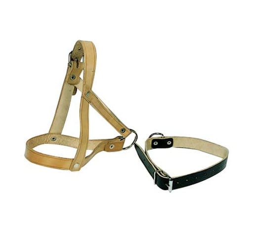 "Fritz Göbel Halsriemen für Schafe und Böcke, Leder, 65 cm image"