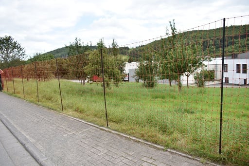 "Euro-Netz Mustang 170/2 25m mit engen Maschen image"