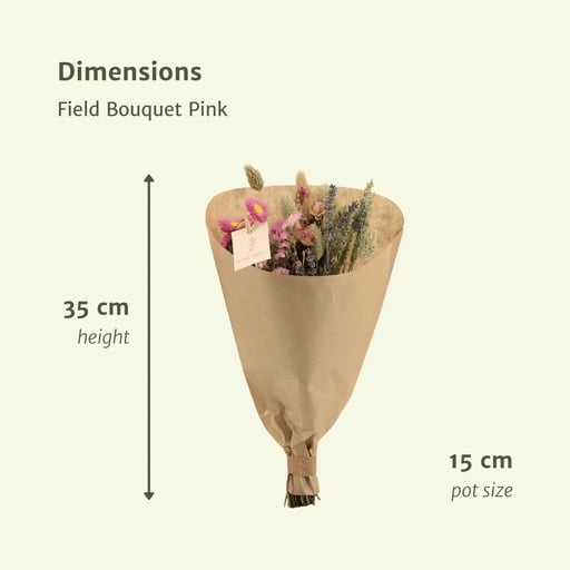 "Trockenblumen Feldblumenstrauß Rosa - Topf-Ø 15 cm - Höhe ca. 35 cm image"