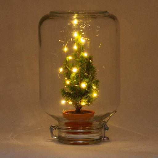 "Easyplant - Ficus Weihnachten image"